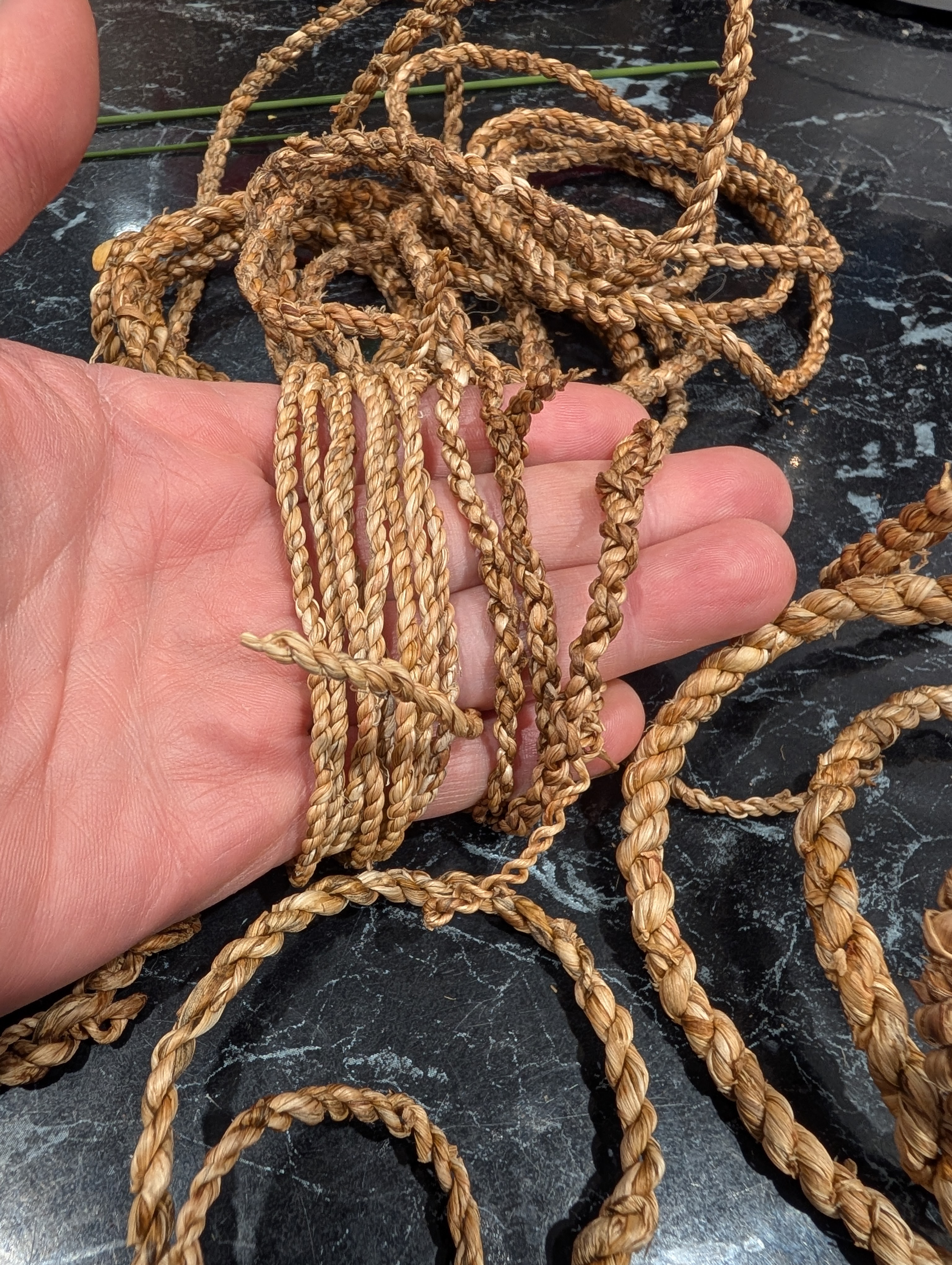 Hands working plant fibers into rope