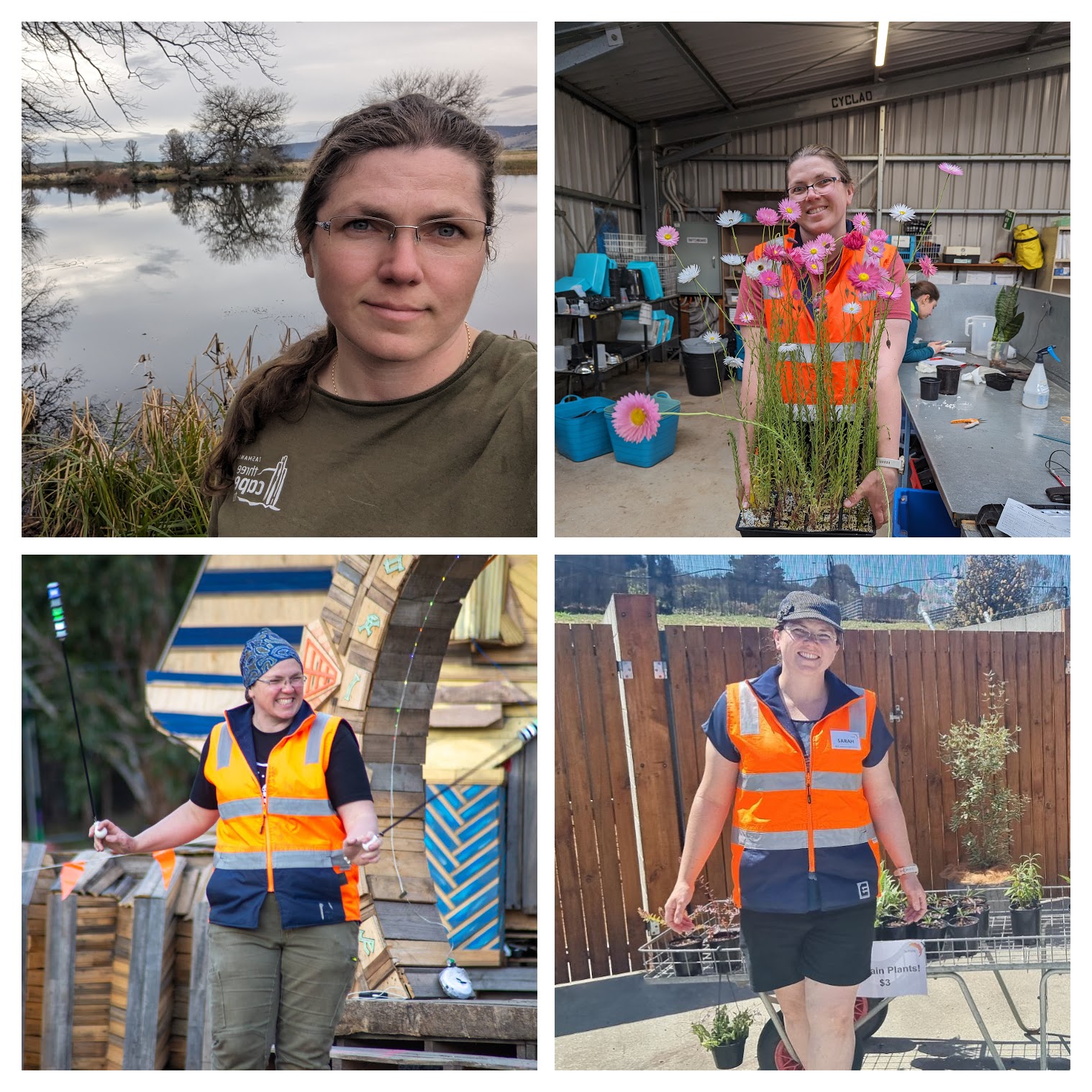 Chaos in Green — horticulture and conservation consulting in Tasmania