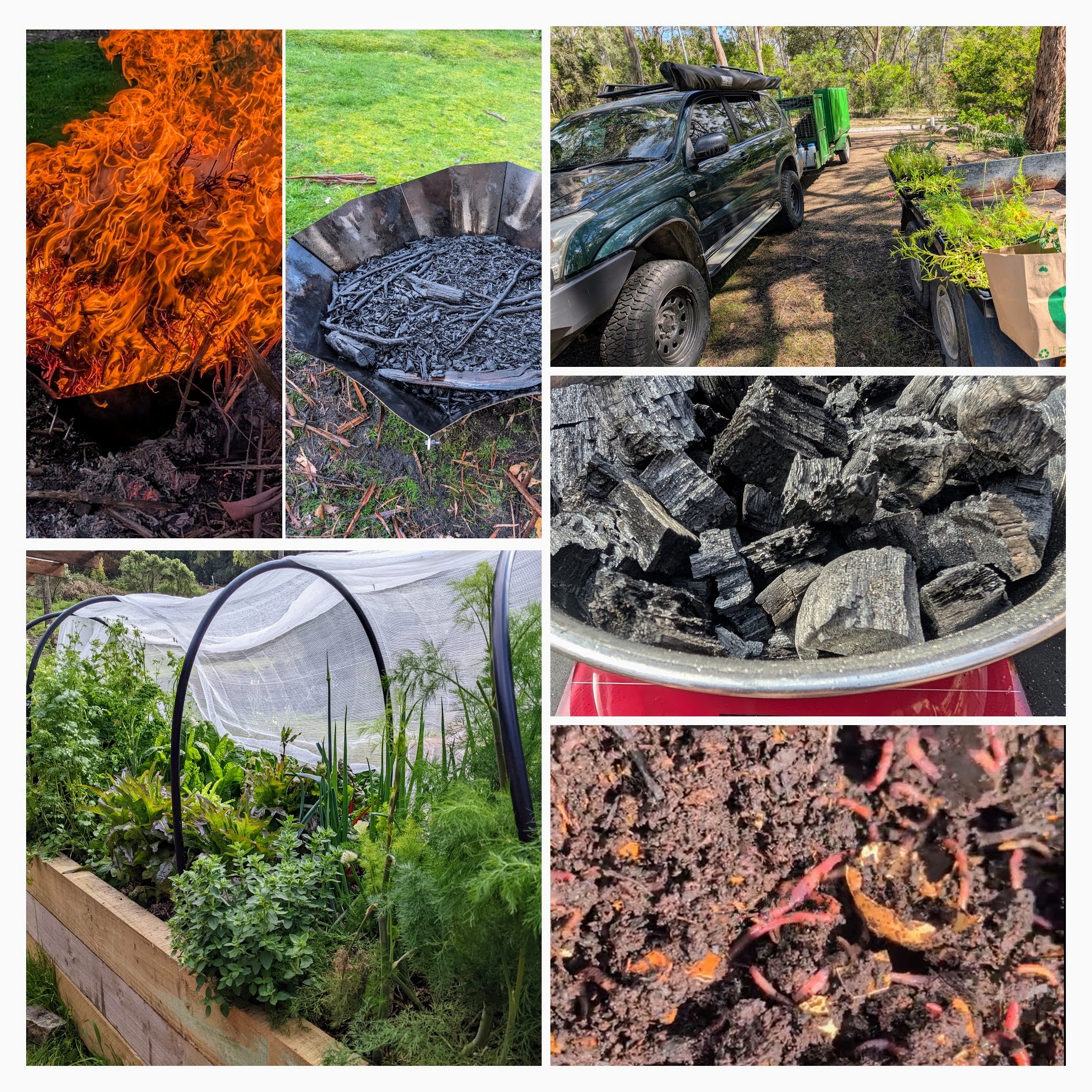 Collage of services provided by Chaos in Green