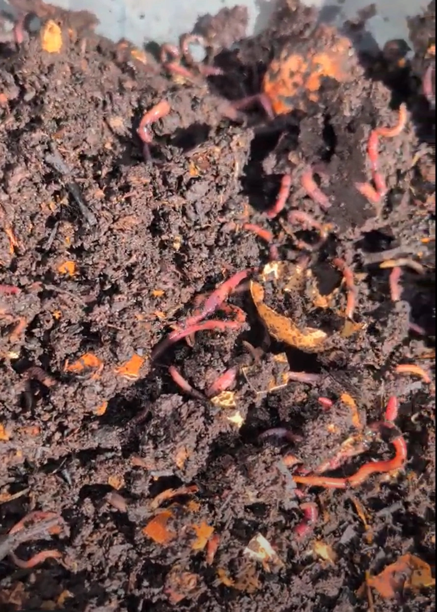 Compost creation service