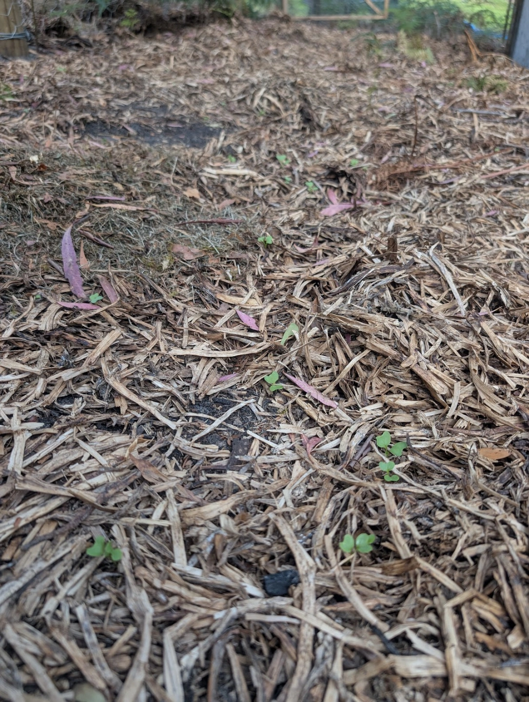 Soil health service