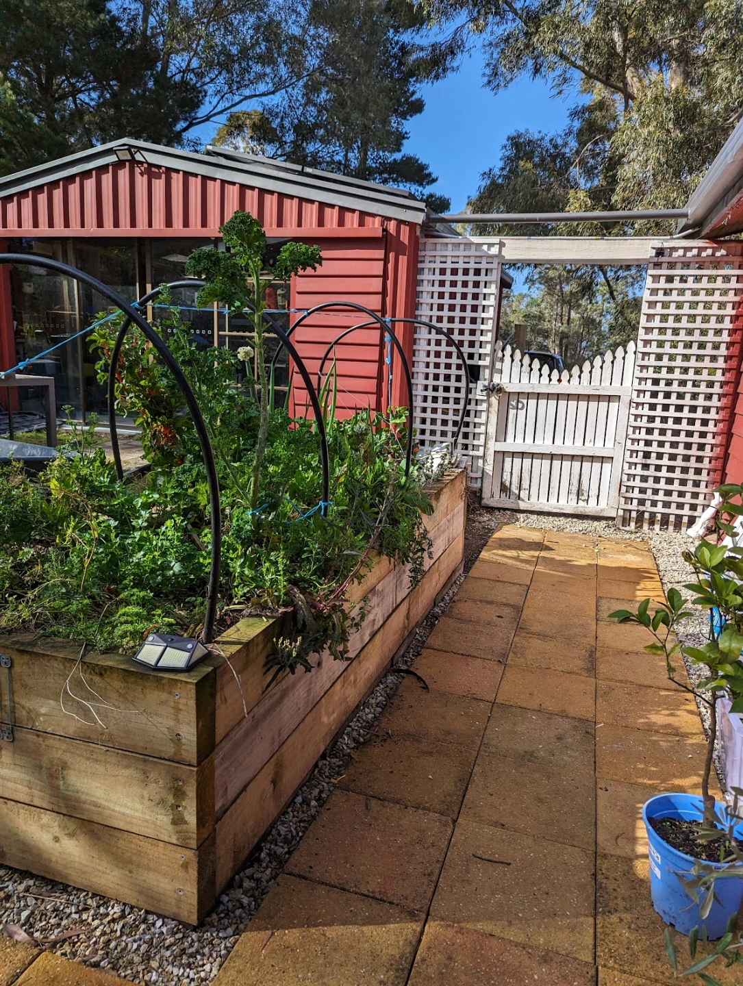 Sustainable garden construction service